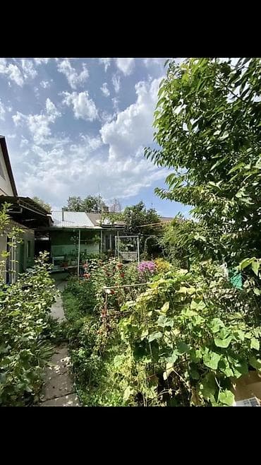 сниму квартиру 3 комнатную: 10 м², 3 комнаты, Утепленный, Забор, огорожен — 4