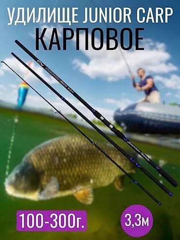 электроудочка купить: КУПЛЮ УДОЧКУ КАРПОВОЮ !!! — 1