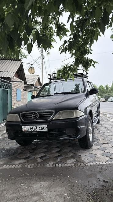 раф 4 2002: Ssangyong Musso: 2000 г., 2.9 л, Автомат, Дизель, Внедорожник — 2