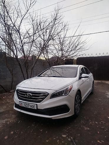 honda accort: Hyundai Sonata: 2016 г., 2.4 л, Автомат, Бензин, Седан — 10