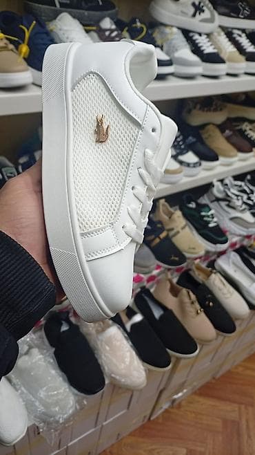 Эркектердин кроссовкасы, 36, 37, 38, Lacoste, Жаңы, түсү - Ак, Акысыз жеткирүү — 1