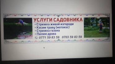 электрокоса бишкек: Газон чапкыч — 2