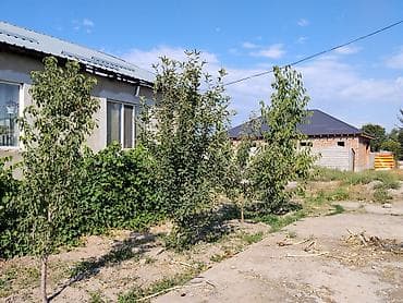участок вайеный антоновка: 10 соток — 2
