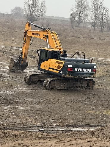 колония муравьёв: Экскаватор, Hyundai, 2019 г., Гусеничный — 2