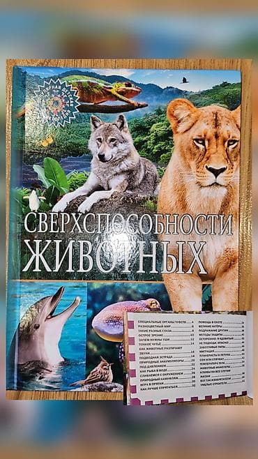 следопыт: ФОТО 1 УЧЕБНИКИ БУ: Русский язык (Т. Г. Рамзаева) - Учебник для 1 — 10