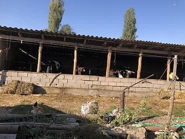 продажа участка село джал: Срочно продаю дом 30 сотоксело Чат куль Ул Ленина 10, сукулукскии — 9