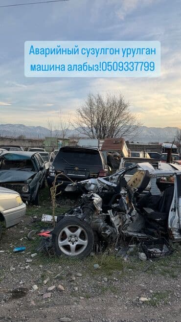 Скупка битые авто бмв пассат голф мерс лексус Тайота Хонда фит степ at lalafo.kg Скупка битые авто бмв пассат голф мерс лексус Тайота Хонда фит степ