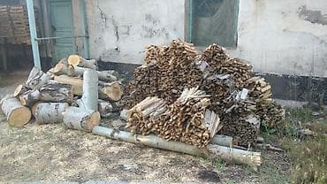 баняа: Дрова — 2