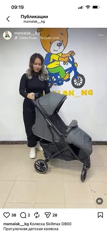 Прогулочная детская коляска Skillmax D800 - Тип: компактная