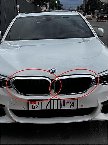 Передние решетки радиатора «ноздри» для BMW 5 серии (G30/G31