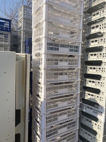 комнатные цветы бишкек: Ящик, Б/у — 5