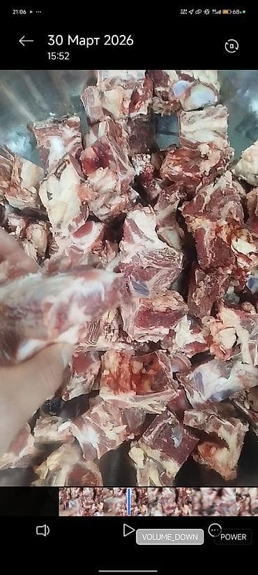 ит аттары: Сатам | Бука (эркек) — 2