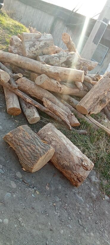 уголь для мангала оптом: Дрова — 3