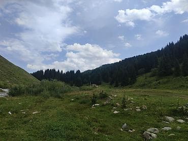 спринтер двухсскатник: Пункт назначения: Все направления, Количество мест: 18 — 8