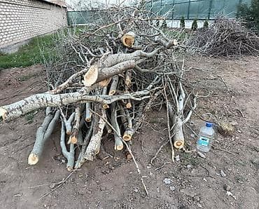 Все для дома и сада: Дрова Самовывоз — 1