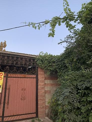 в аренду сто: Дом с закрытым двором и навесом - Въездные распашные ворота из — 4