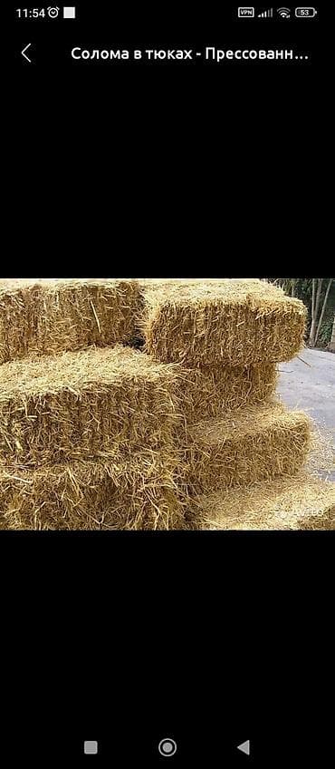 Аквариумы: Солома в тюках - Вид соломы: пшеничная - Формат: прямоугольные — 2