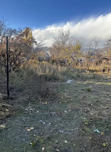 ак босого аренда дома: Үй, 40 м², 2 бөлмө, Менчик ээси, Эски ремонт — 1