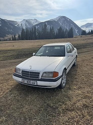 Mercedes-Benz C-Class: 1994 г., 2.2 л, Автомат, Бензин, Седан