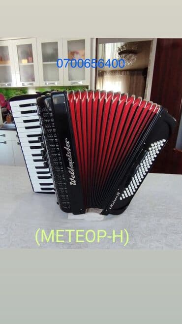 Музыкальные инструменты: Аккордеон Weltmeister (Meteor-N) Cardal. - Немецкий аккордеон — 6