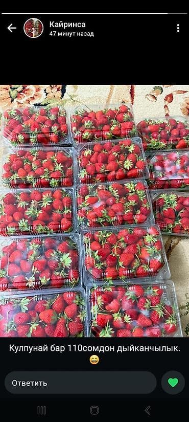 malina.kg продажа малины оптом в бишкеке новопокровка фото: Клубника — 3