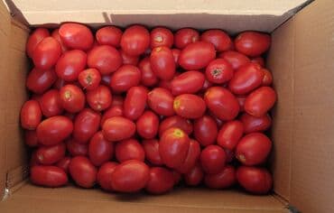 продаю помидор: Консервированные помидоры домашнего приготовления В 3х литровых — 5