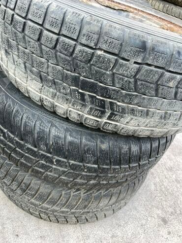 шины на рекс: Шины — 22