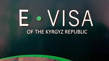 Оформление виз в Кыргызстан (включая e-Visa) - Подготовка и подача