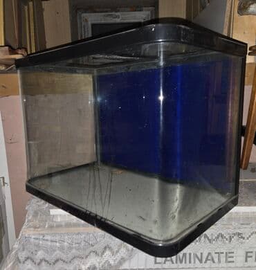 стекло аквариум: Аквариум угловой стеклянный с округлым передним стеклом — 2