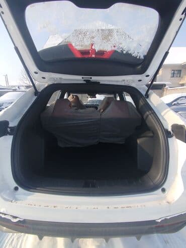 Башка транспорт: Changan X5 Plus: 2025 г., 1.5 л, Робот, Бензин, Кроссовер — 10