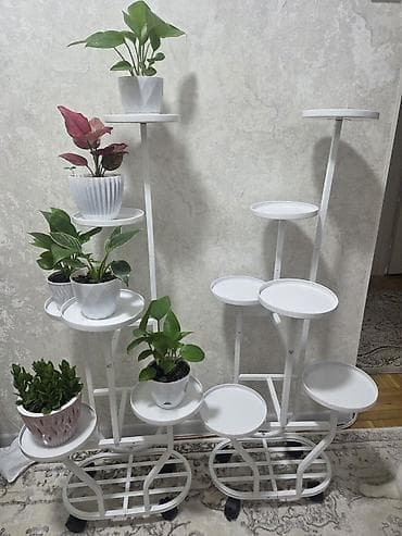 Мебель: Полка, этажерка для цветов, Новый, Железо, Самовывоз — 4