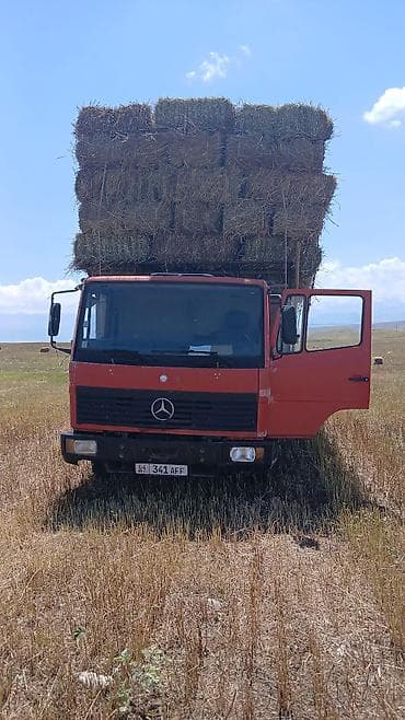 куры несушек: Продажа тюков сена (прессованных прямоугольных кип). - Заготовка в — 2