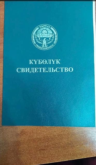 Кыймылсыз мүлк: 270 соток, Айыл чарба үчүн — 1
