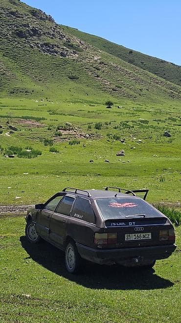crown 171: Audi 100: 1991 г., Механика, Универсал — 4