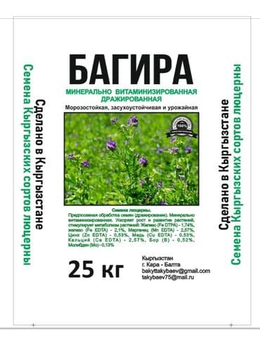 продаю пшеницы: Семена кормовых растений: Люцерна — 11