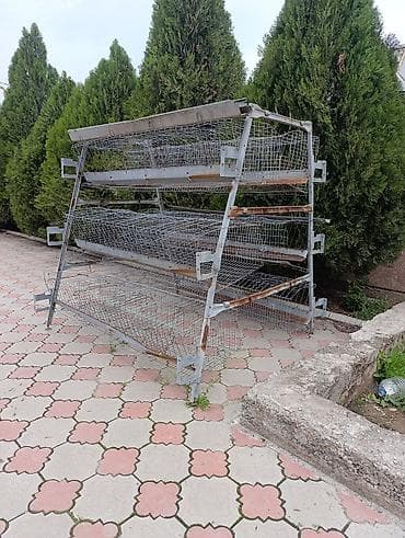 Другая сетка