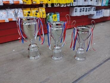 купить кораблик для рыбалки с эхолотом бу: Кубок Лига Чемпионов!!! Железный — 4