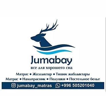 спальный матрас цена в бишкеке: Лучшие матрасы в городе Бишкек доставка бесплатно матрацы ортопеческий — 6