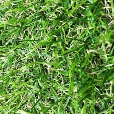 цена искусственного газона для футбольного поля: Футбольный газон,искусственный футбольный газон,газон +для футбольного — 9