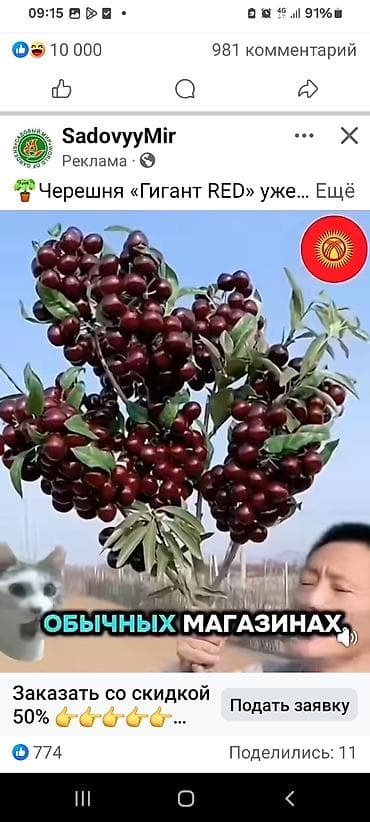 Ищу молодую женщину для совместного проживания на даче в р кек жар