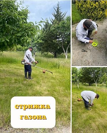 распил дерево: Стрижка газона триммером - Аккуратное покошение травы на участке, в — 1