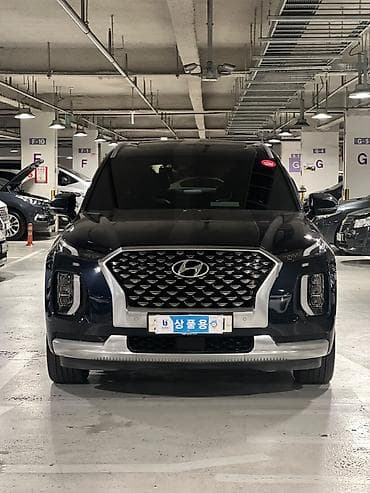 range rower: Hyundai Palisade: 2020 г., Кроссовер — 3