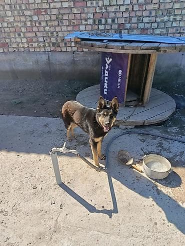 Садовый умывальник