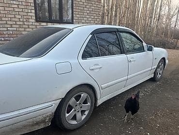 молдинги мерс: Mercedes-Benz E-Class: 1996 г., Седан — 1