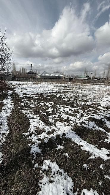 медеров: 5 соток, Кызыл китеп — 4