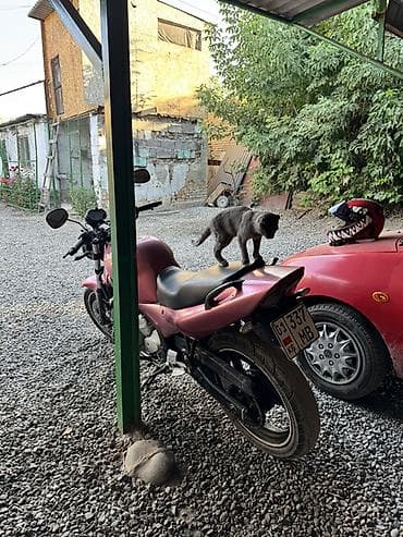 требуется вложения: Классический мотоцикл Yamaha, 600 куб. см, Бензин, Взрослый, Б/у — 4