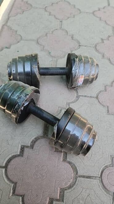 гантели наборные хромированные: Продаю гантели. одна гантеля весит 15кг продаю сразу 2гантели цена — 1