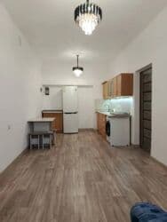 квартира бишкек долгосрочная: 2 комнаты, Агентство недвижимости, Без подселения, С мебелью полностью — 3