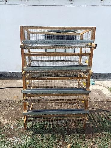 дакан цыплят: Для перепелок Описание: - Конструкция на 5 уровней, каркас — 1