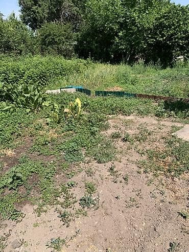 Дача/садовый участок с домиком и хозпостройками в г. Кара-Балта, дача — 9